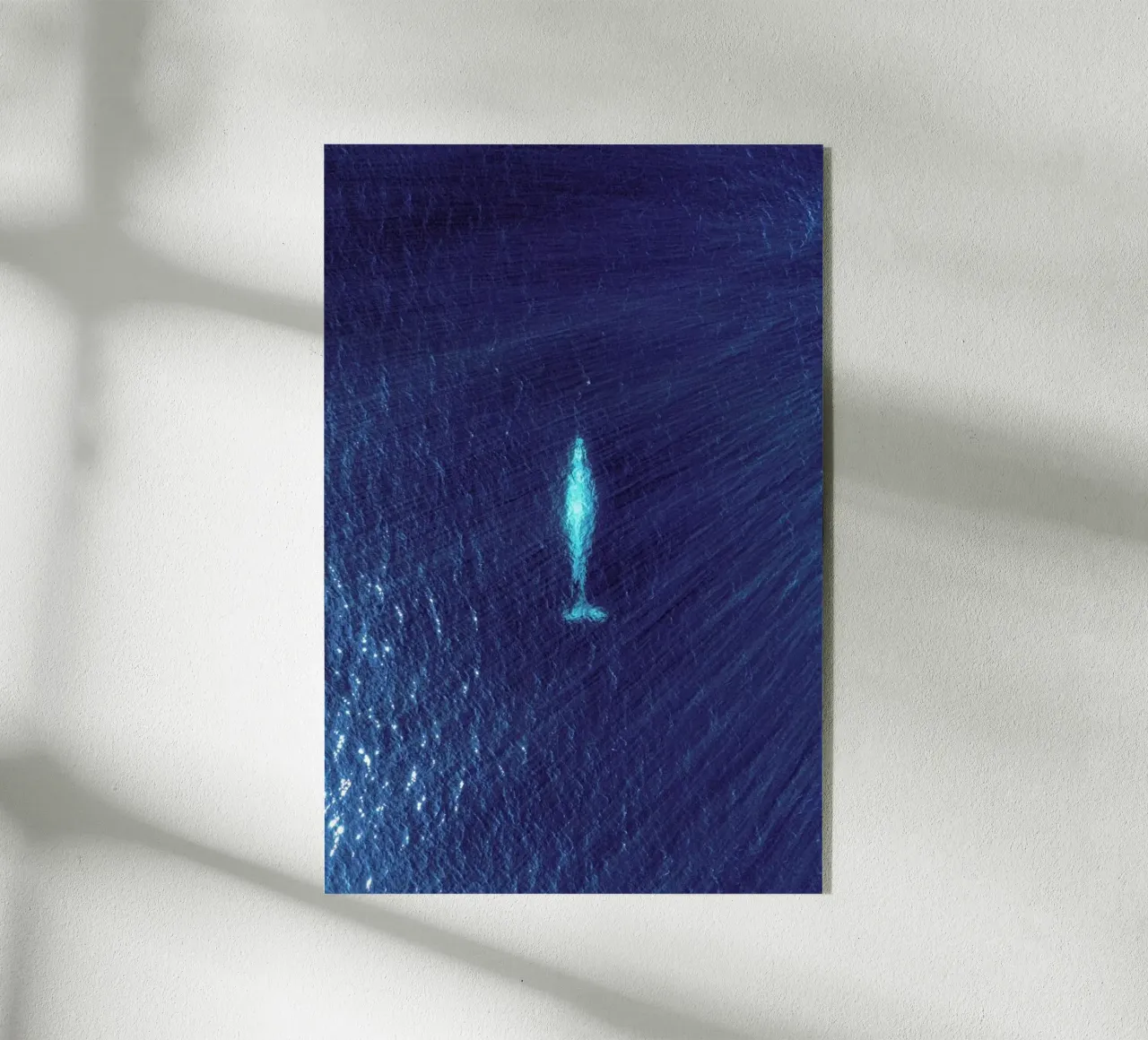 Whale plexiglass da ROBERTO H