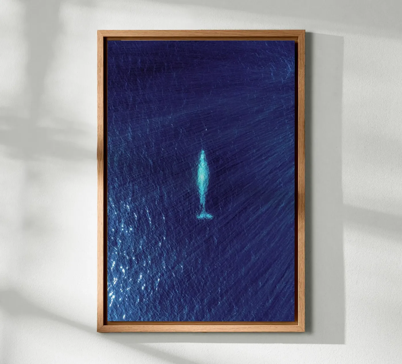 Whale alluminio dibond da ROBERTO H