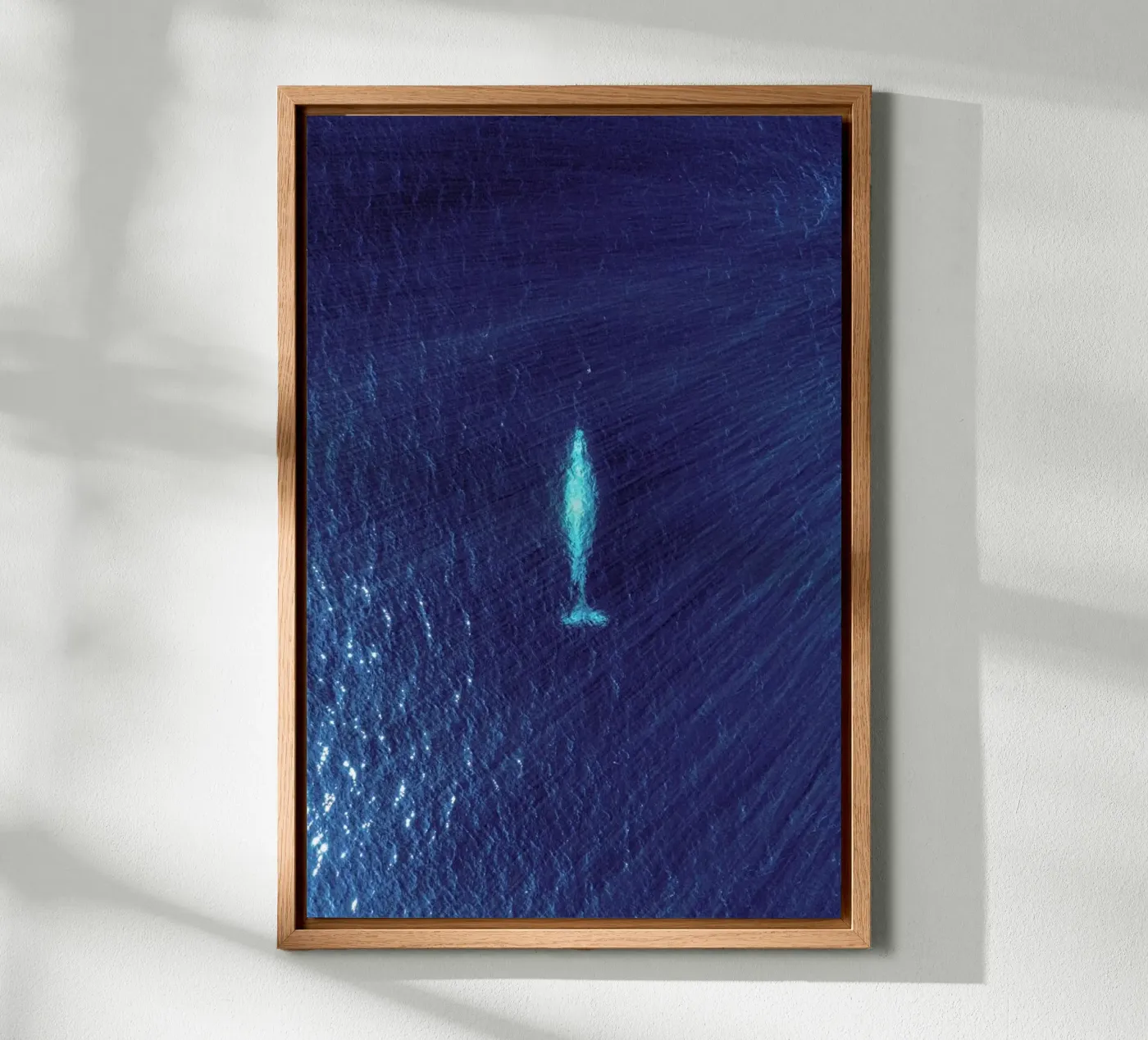 Whale canvas by ROBERTO H
