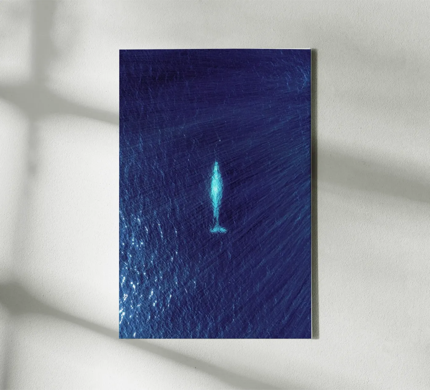 Whale canvas by ROBERTO H