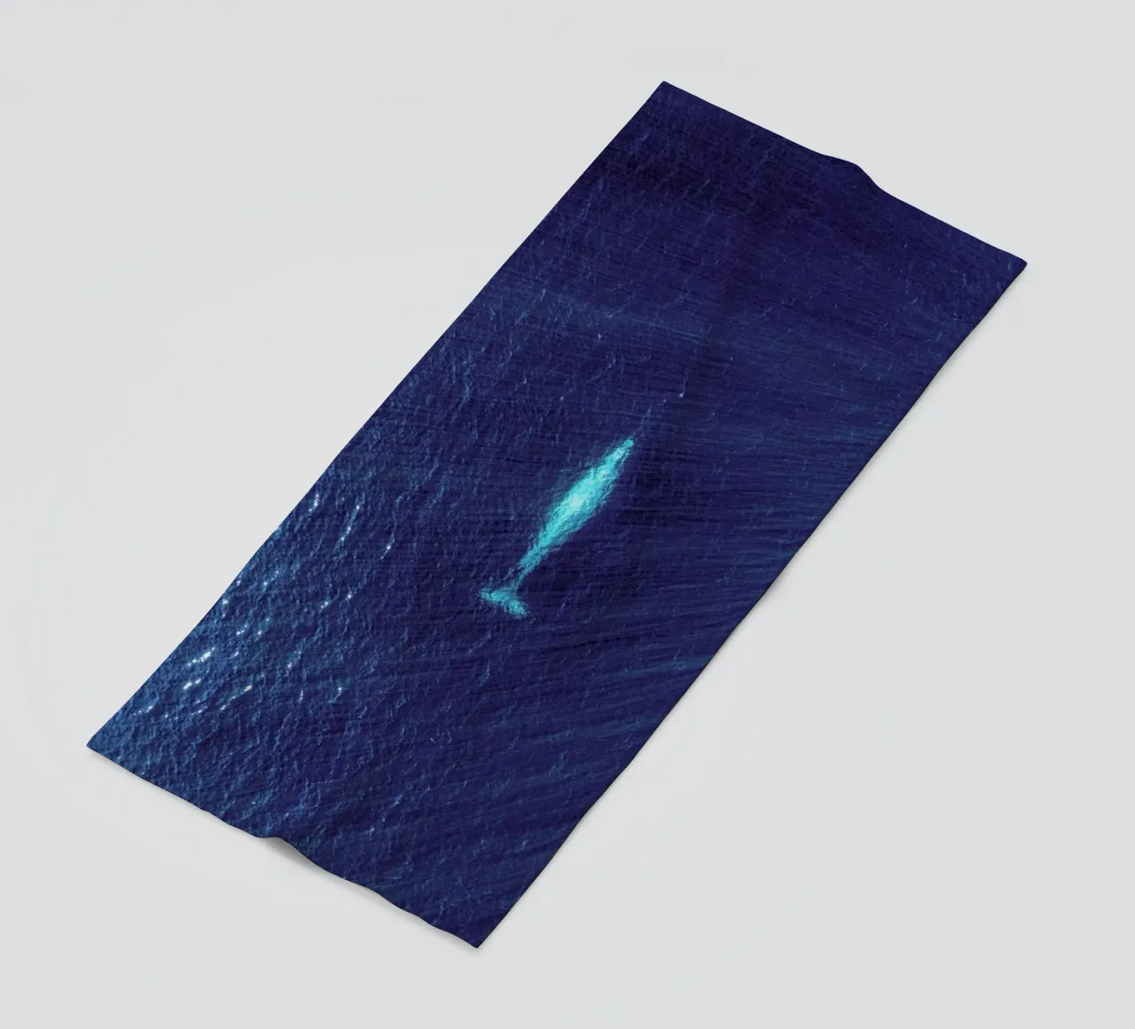 Whale telo mare da ROBERTO H