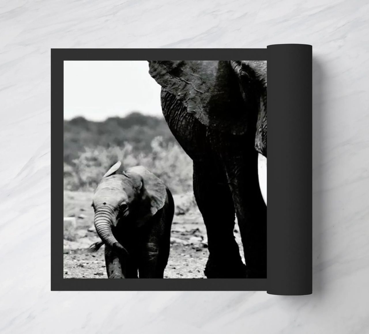 Big and Little zerbino da Natural Kingdom