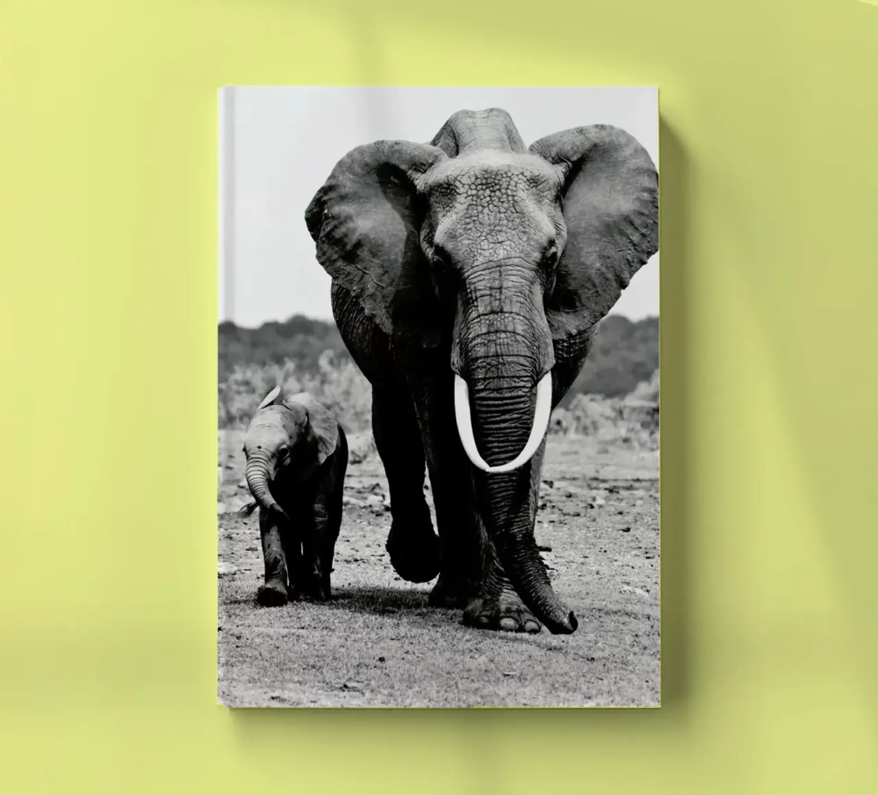 Big and Little notebook by Natural Kingdom