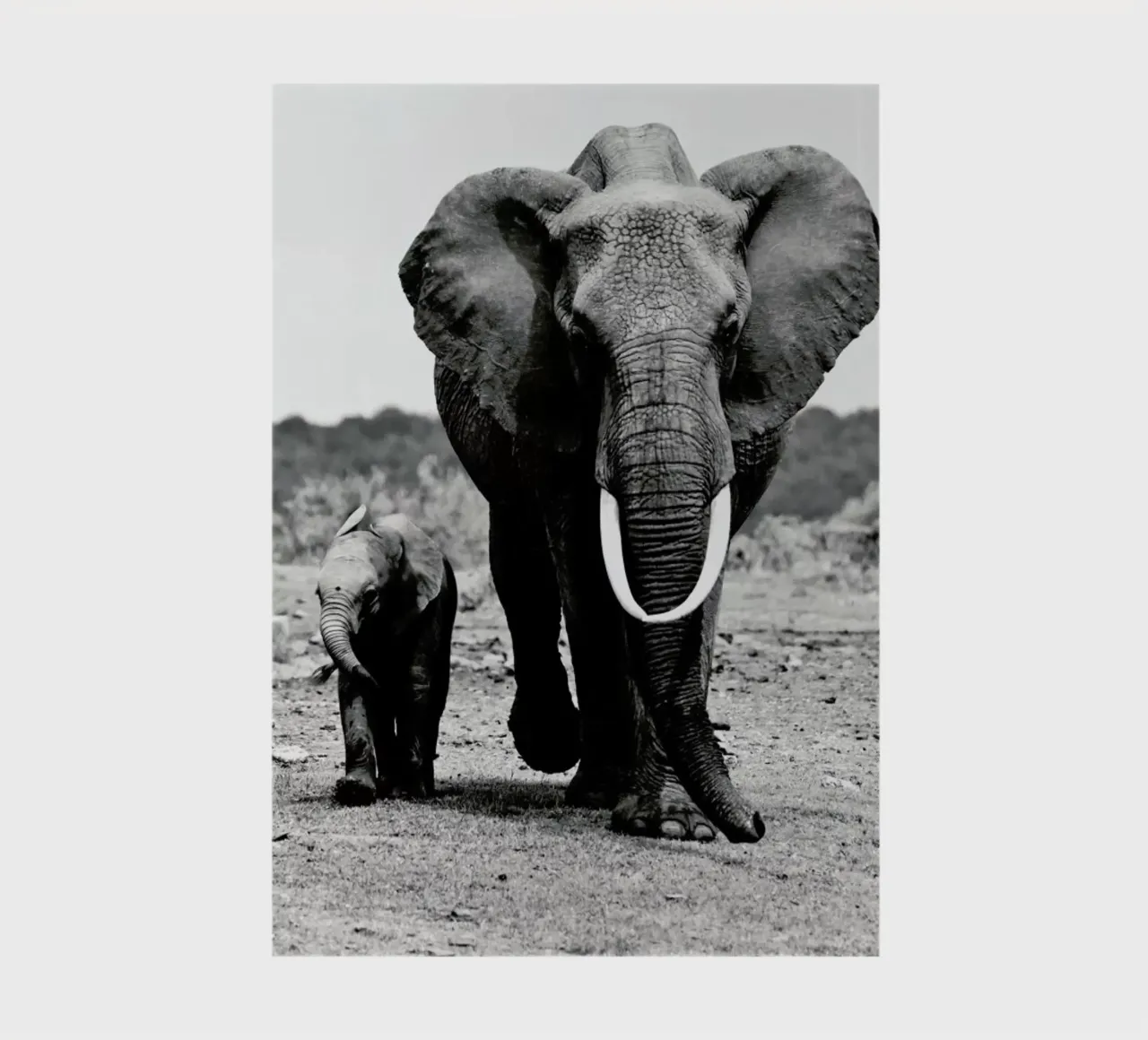 Big and Little carnet de notes de Natural Kingdom