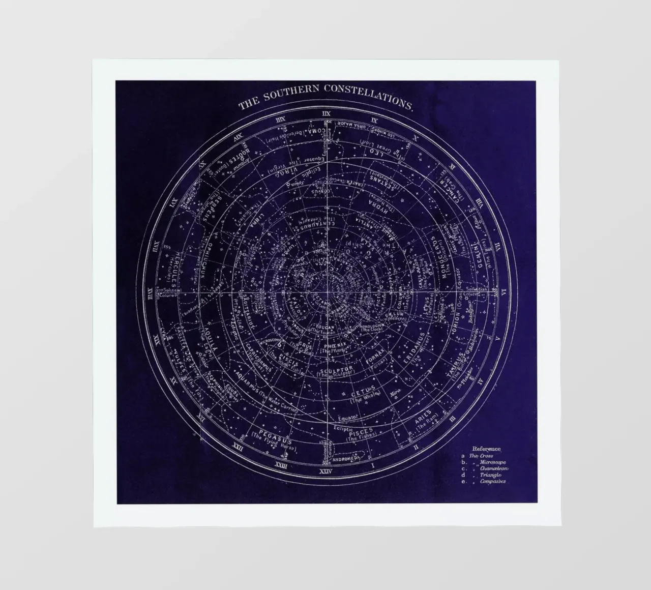 Southern Constellations pellicola backlit da Flora & Fauna