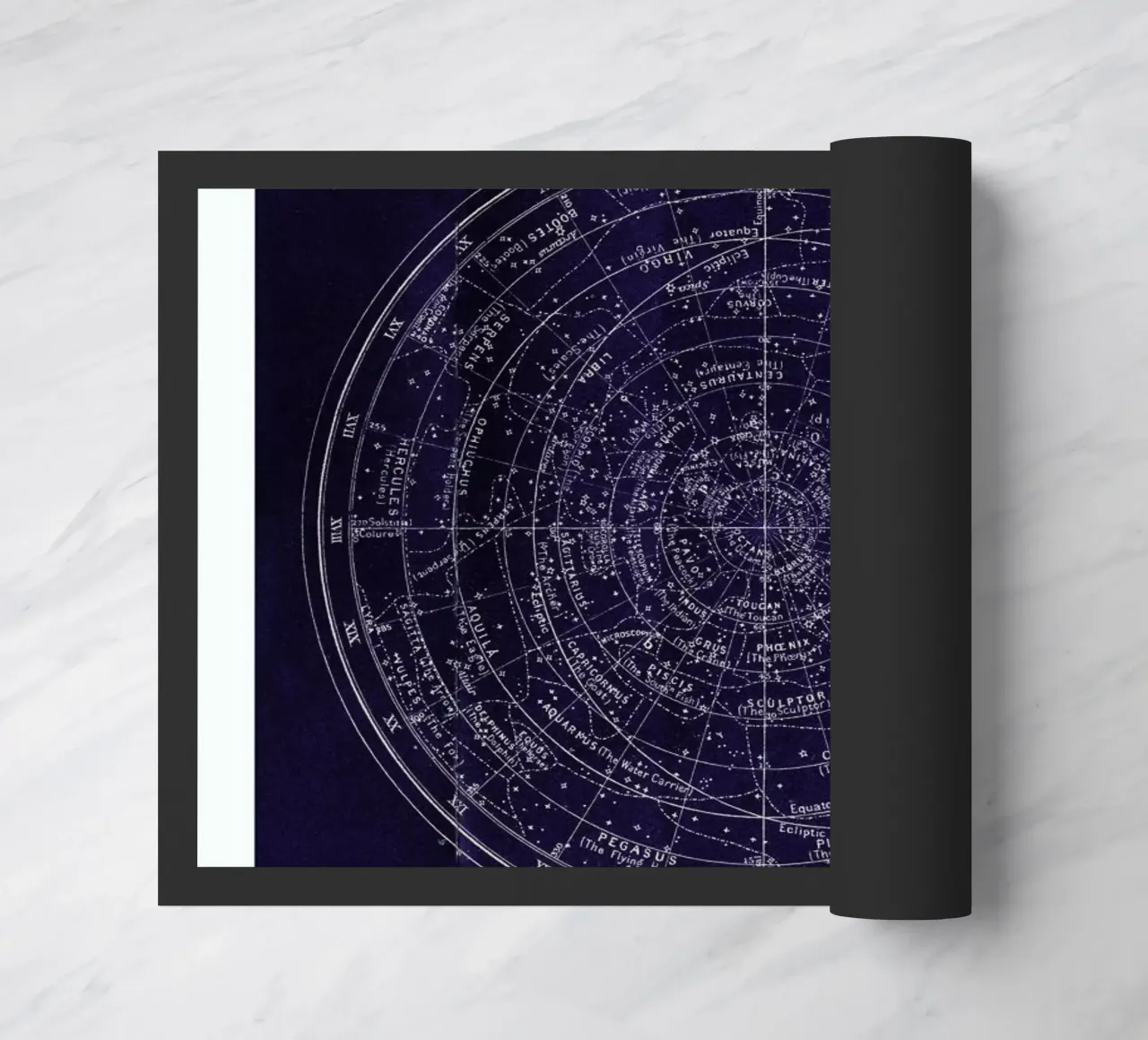 Southern Constellations zerbino da Flora & Fauna