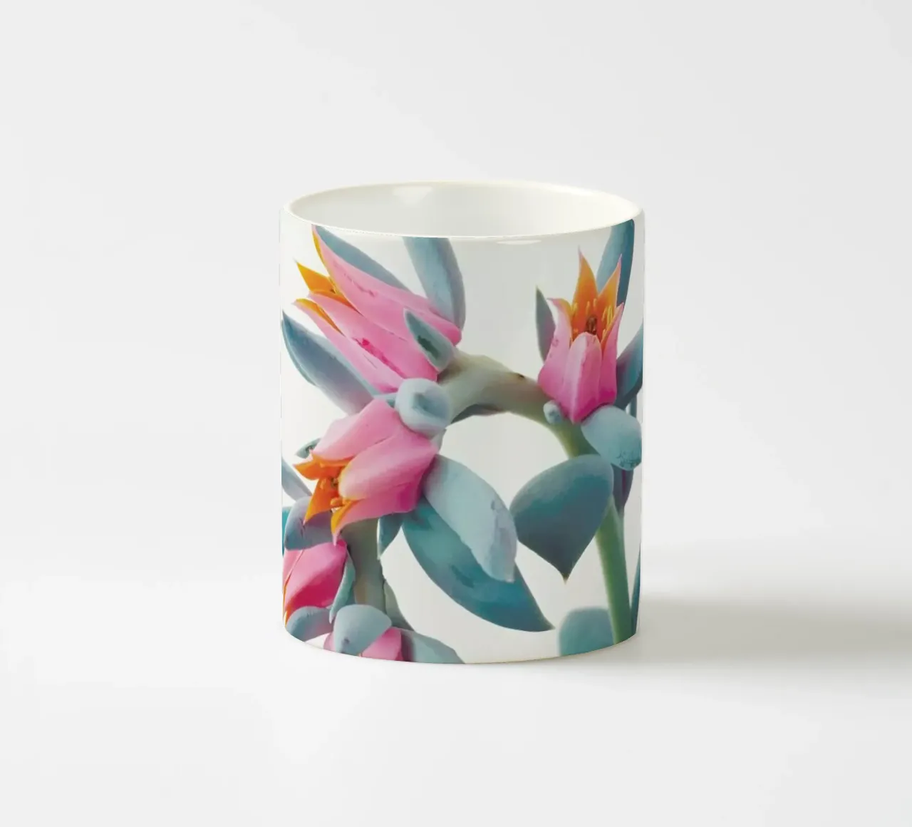 Grappolo di succulente tazza in ceramica da Cassia Beck Photography