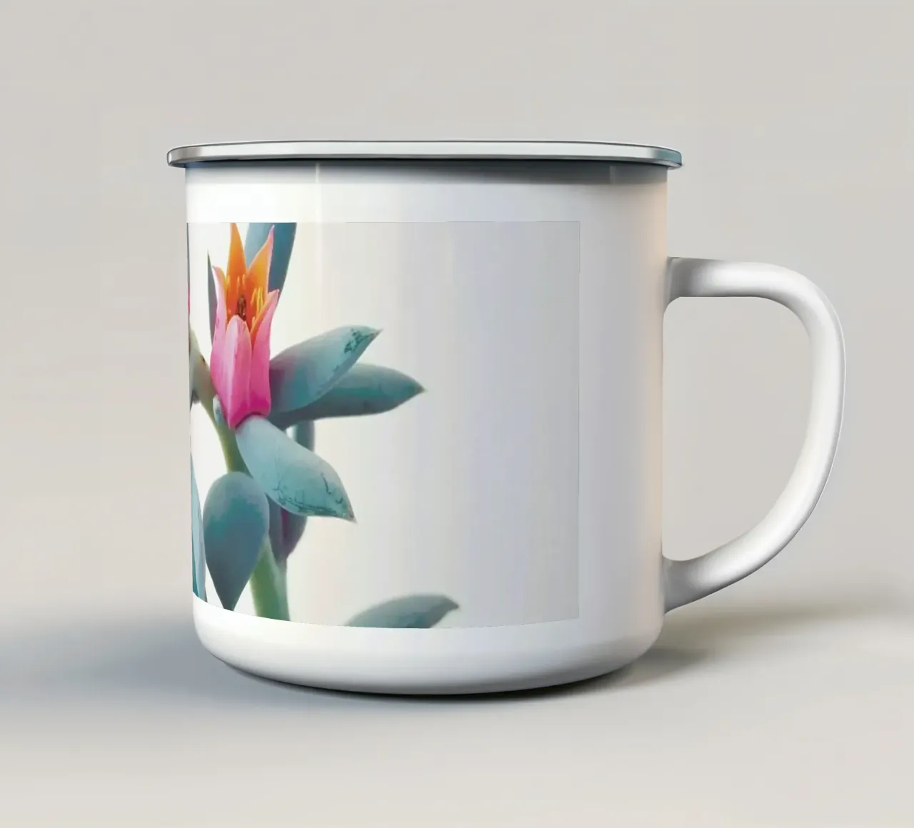 Grappolo di succulente tazza in smalto da Cassia Beck Photography