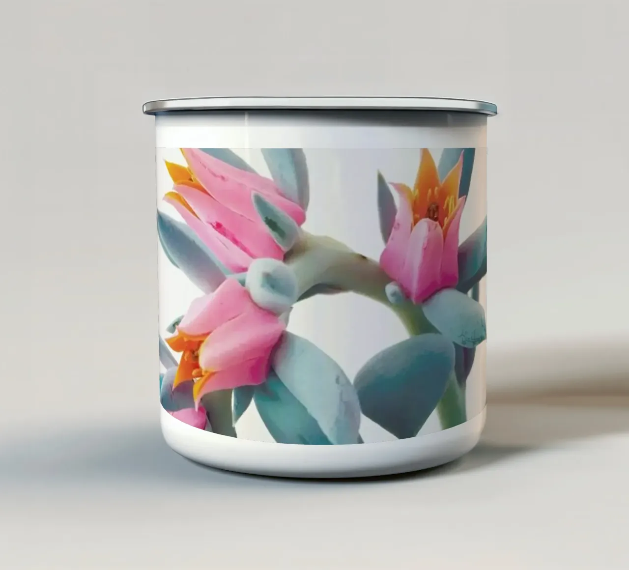 Grappolo di succulente tazza in smalto da Cassia Beck Photography