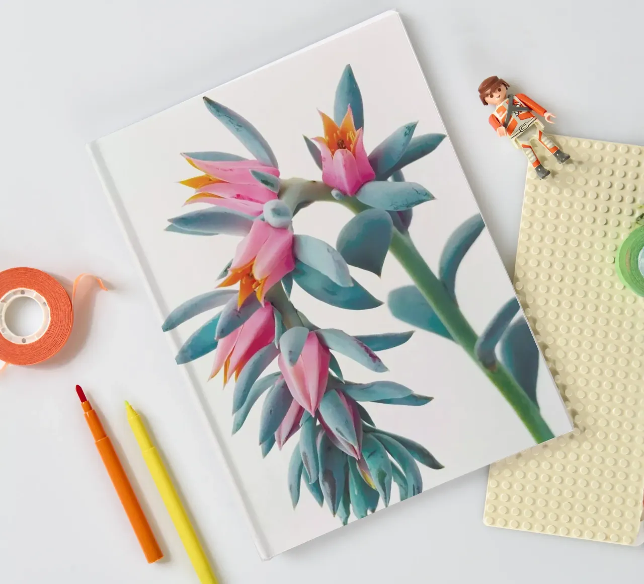 Succulent Cluster notebook by Cassia Beck Photography