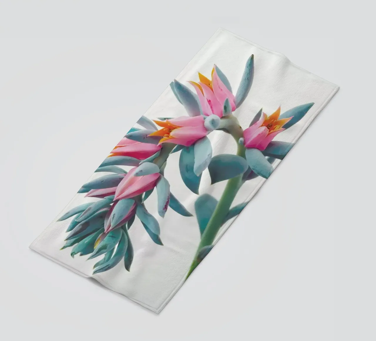 Grappolo di succulente telo mare da Cassia Beck Photography