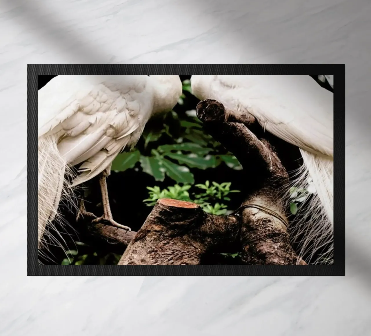 Peacocks zerbino da Natural Kingdom