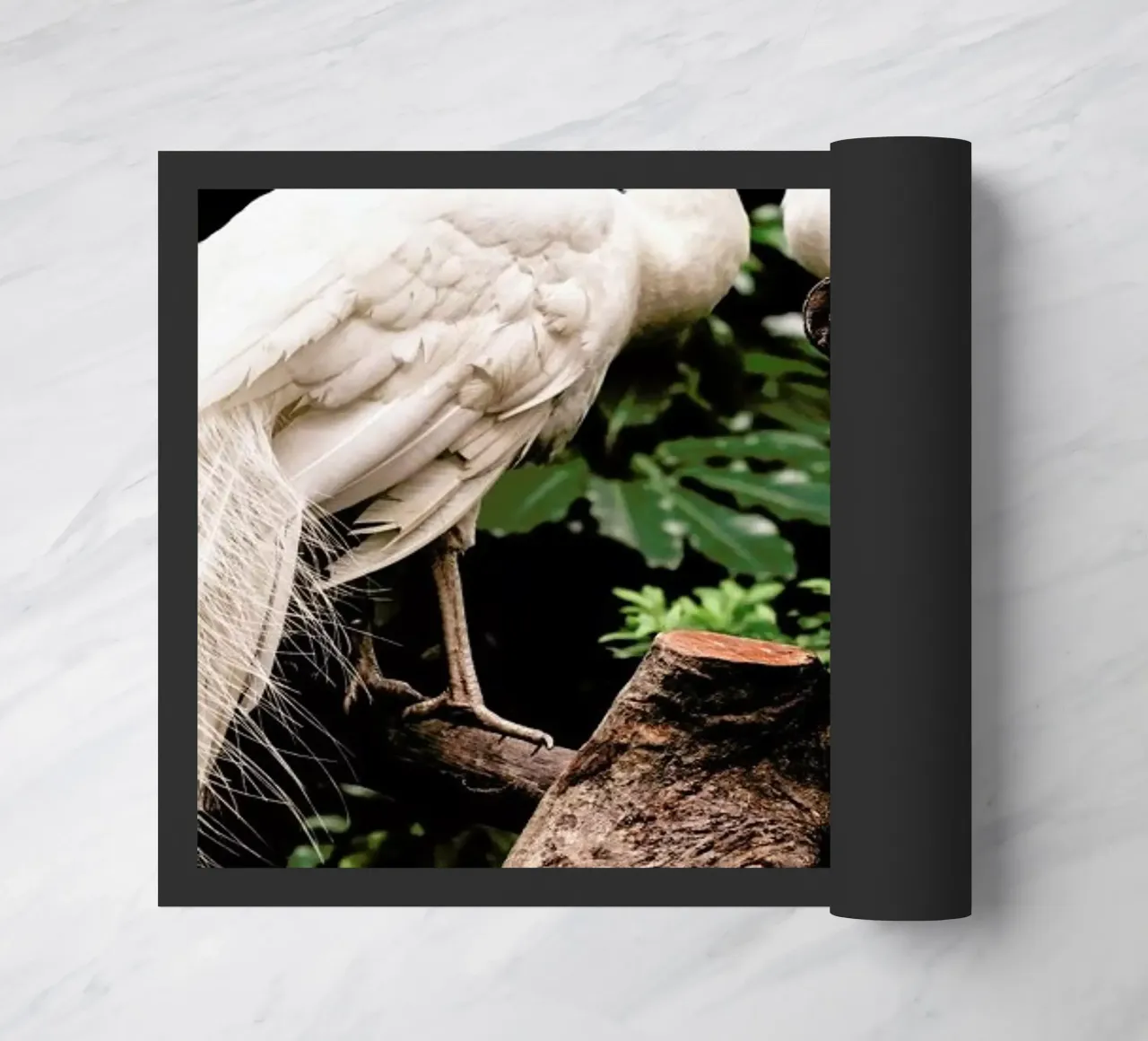 Peacocks zerbino da Natural Kingdom