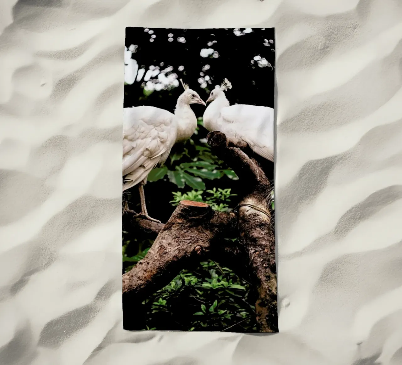 Peacocks telo mare da Natural Kingdom