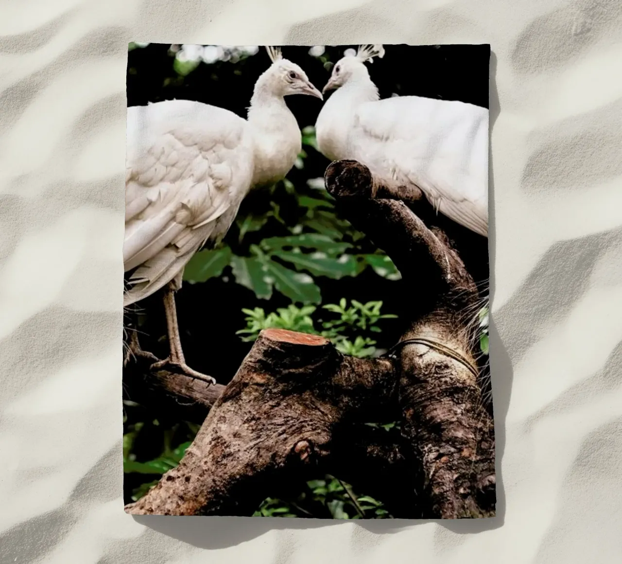 Peacocks telo mare da Natural Kingdom