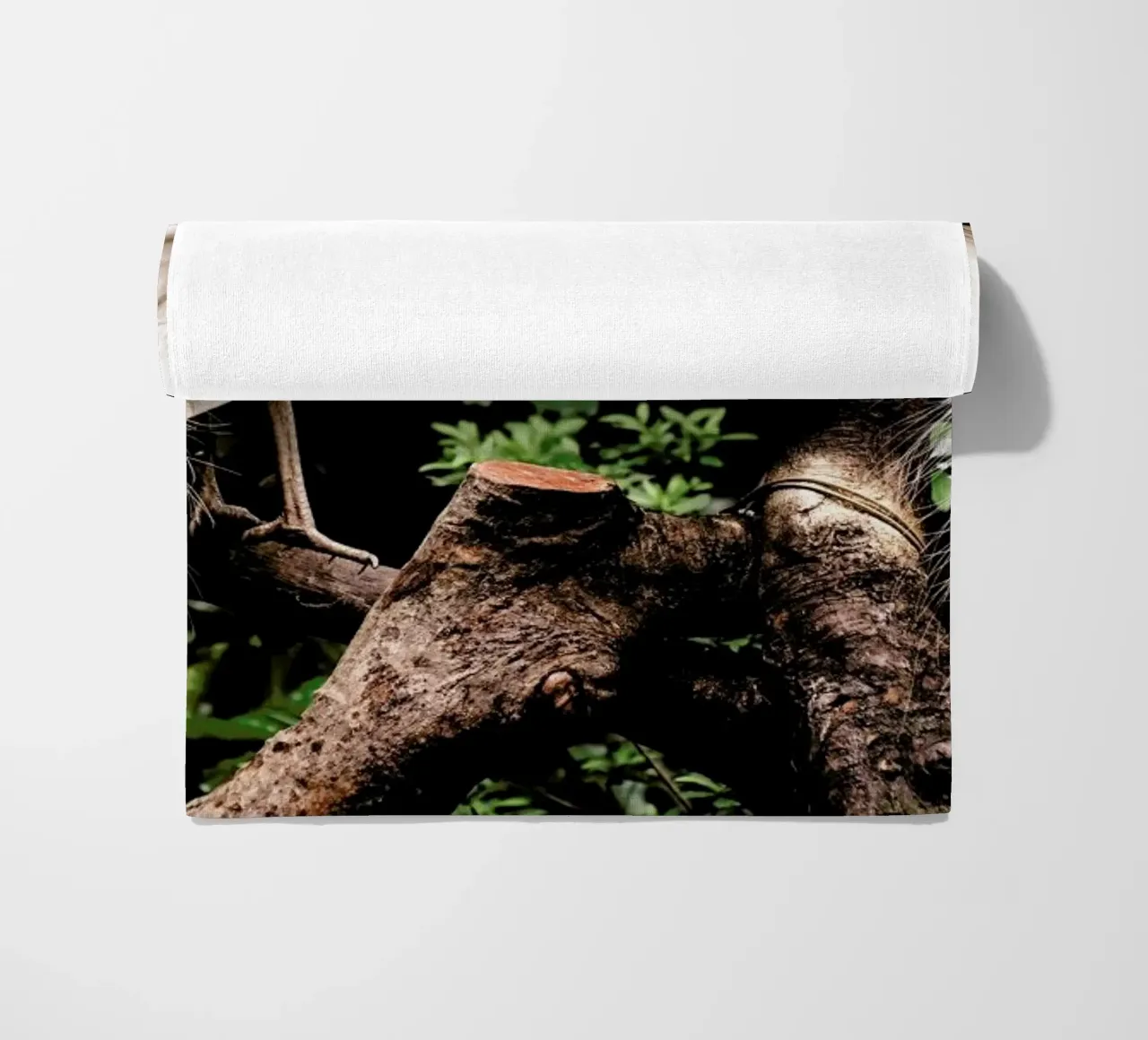 Peacocks telo mare da Natural Kingdom