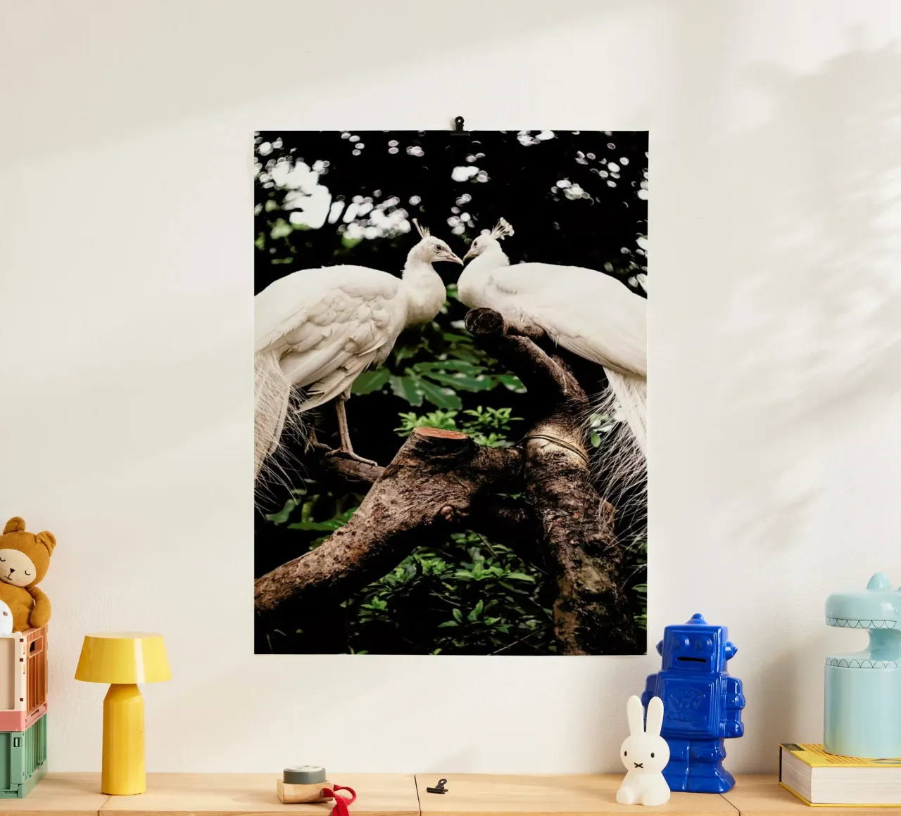 Peacocks poster da Natural Kingdom