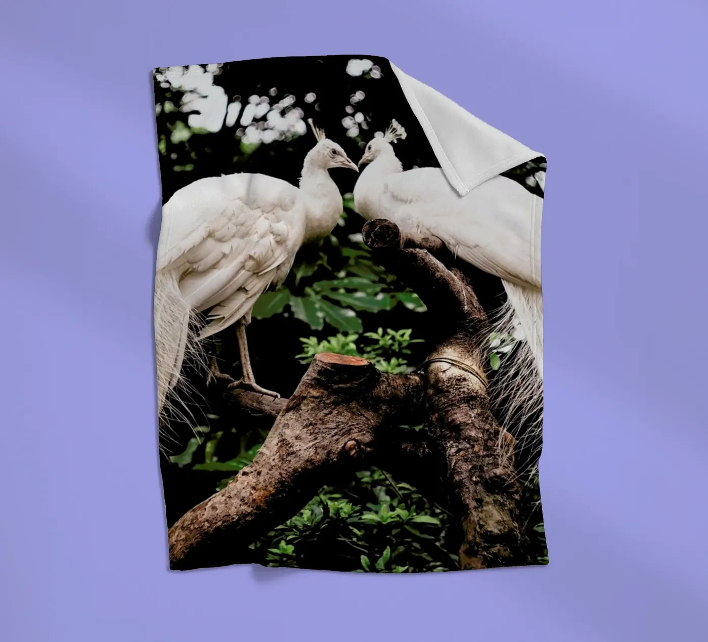 Peacocks Fleecedecke von Natural Kingdom