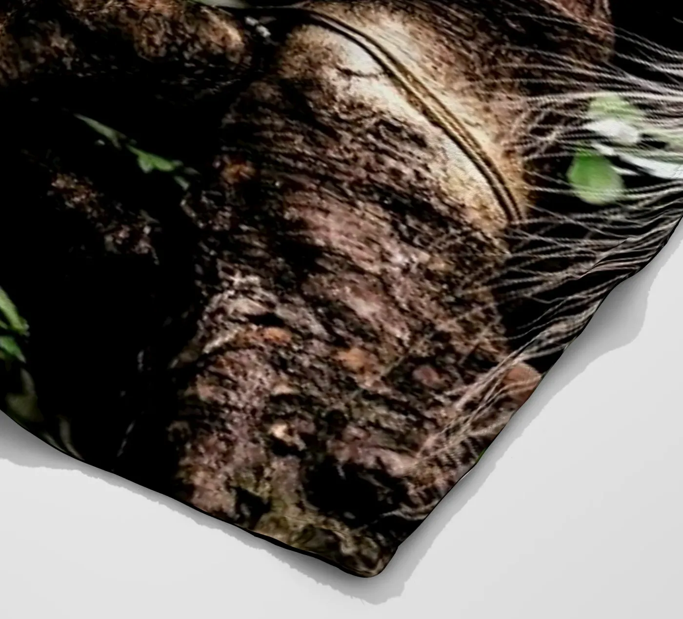 Peacocks Fleecedecke von Natural Kingdom