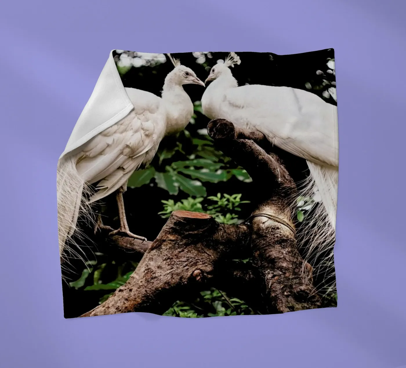 Peacocks Fleecedecke von Natural Kingdom