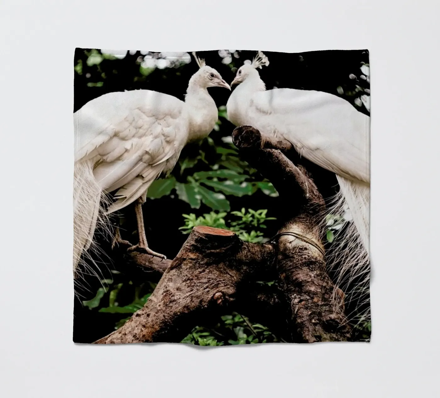 Peacocks Fleecedecke von Natural Kingdom