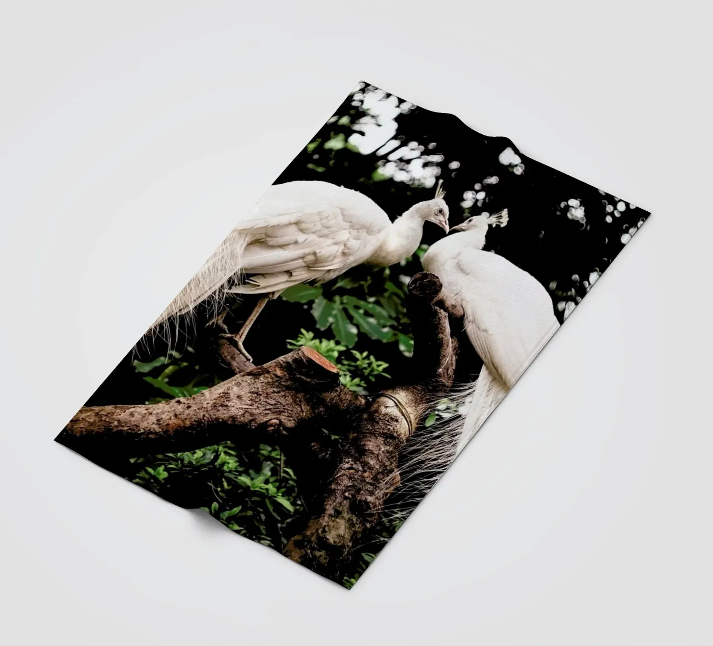 Peacocks Fleecedecke von Natural Kingdom