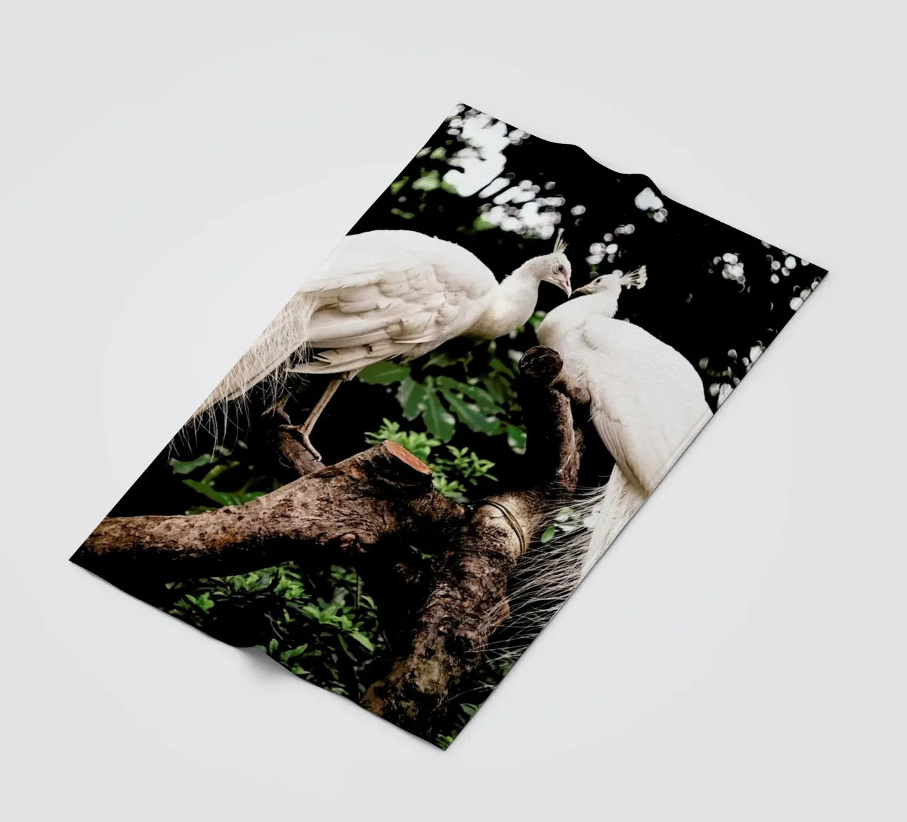 Peacocks Fleecedecke von Natural Kingdom