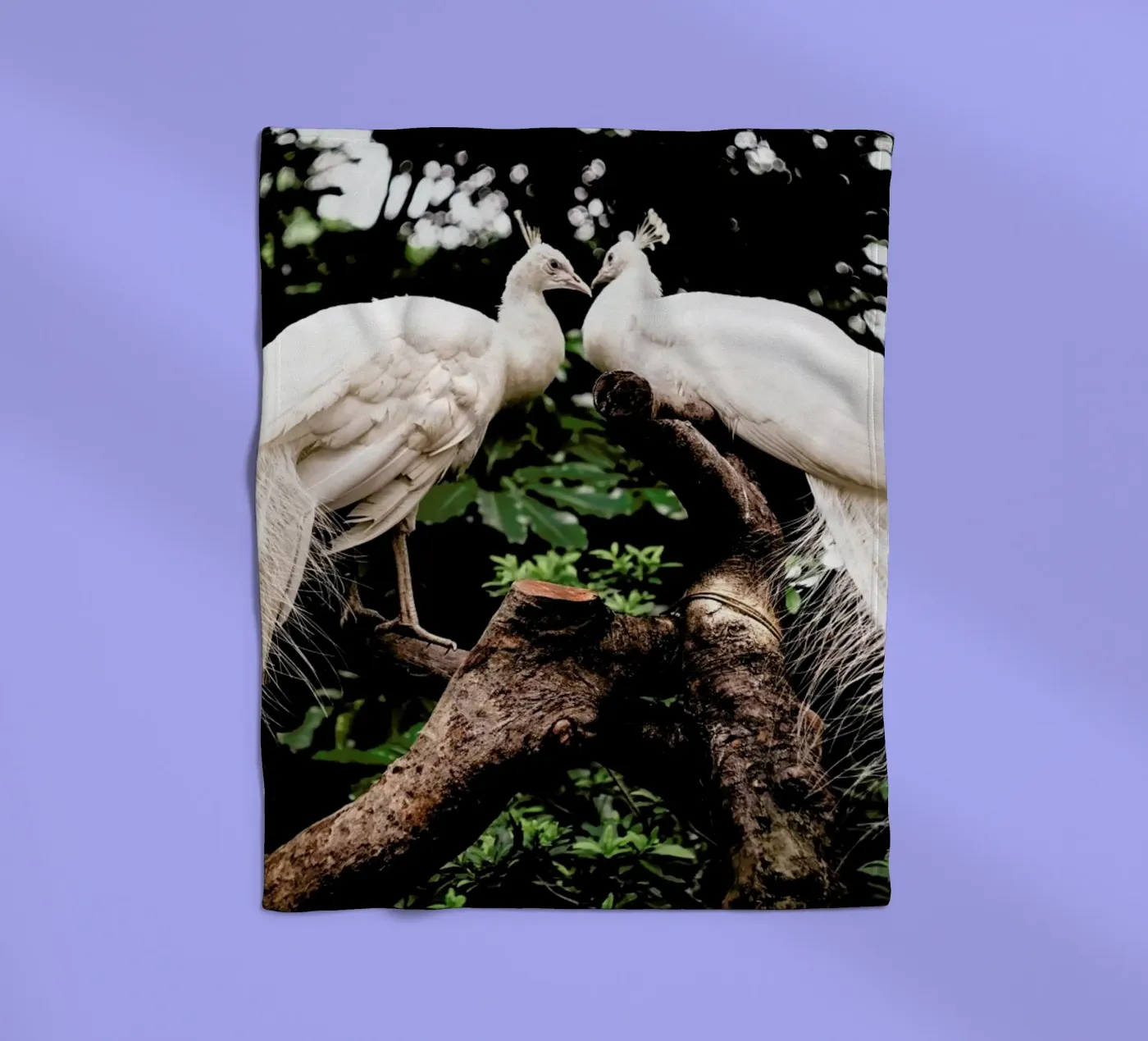 Peacocks Fleecedecke von Natural Kingdom