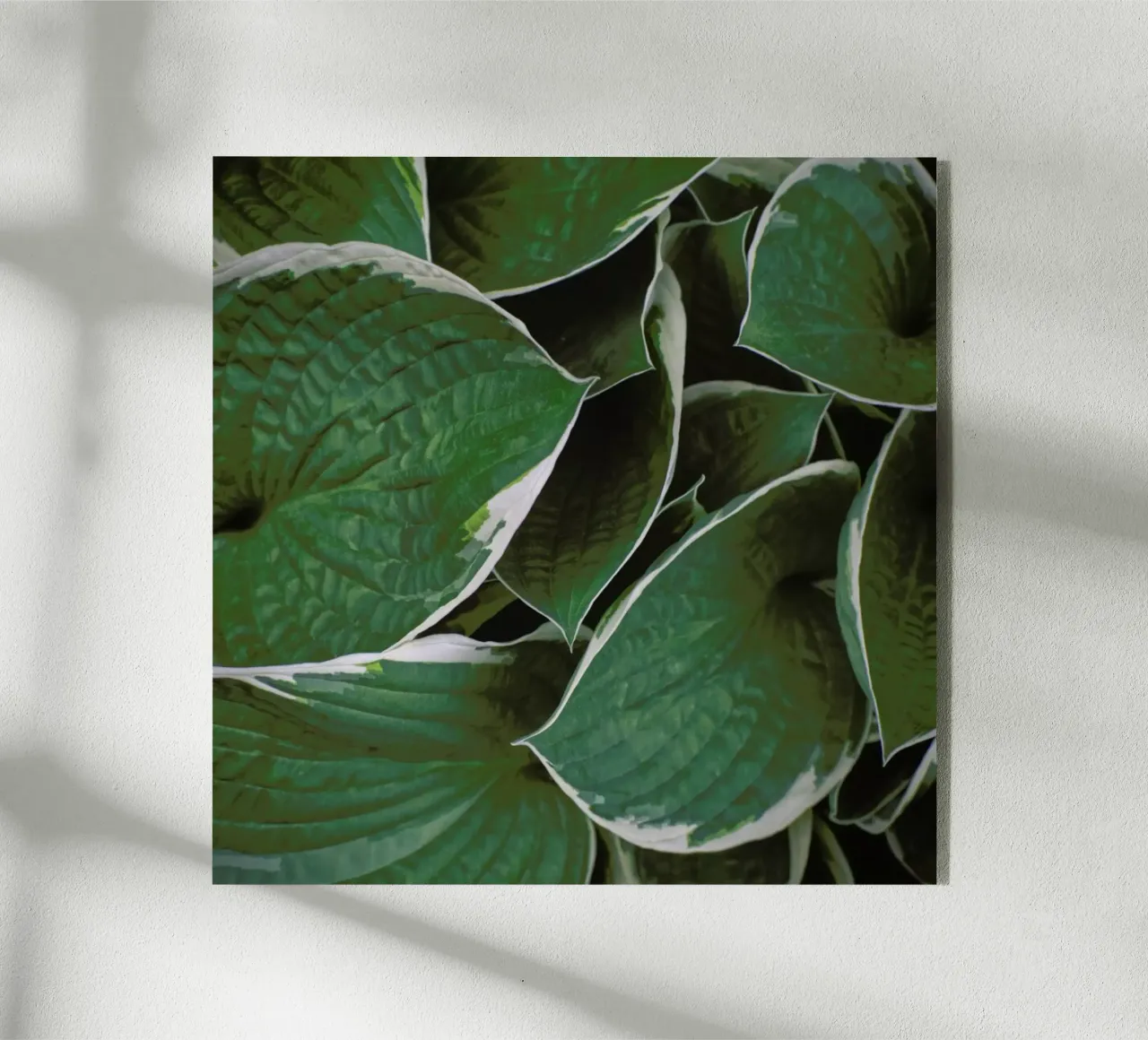 Loving The Leaves 9 metacrilato de Nur Mut