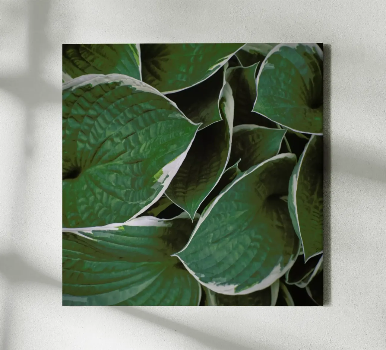 Loving The Leaves 9 canvas met Baklijst van Nur Mut