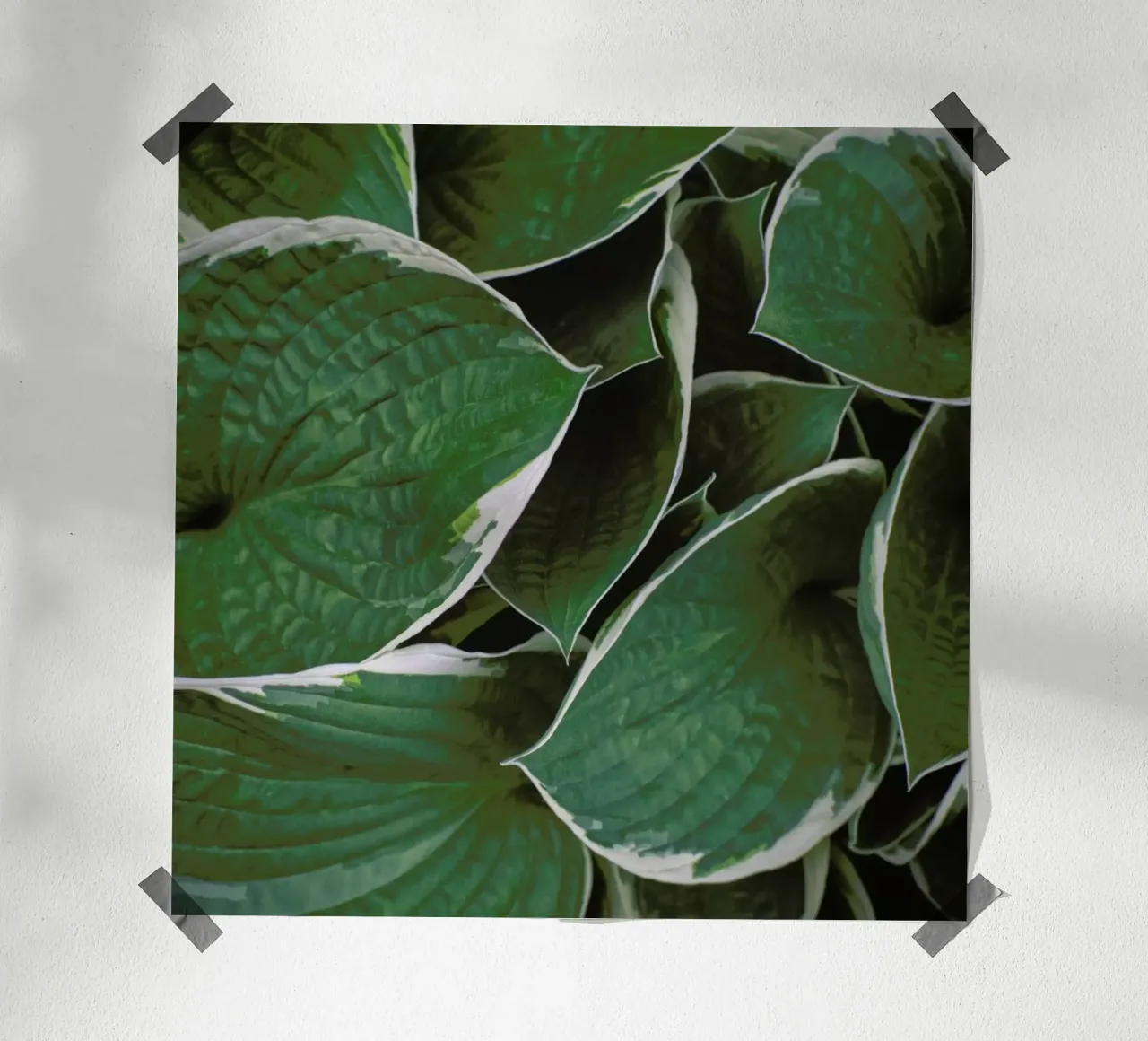 Loving The Leaves 9 poster con telaio in alluminio da Nur Mut
