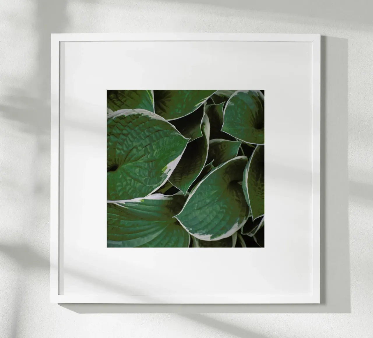 Loving The Leaves 9 poster con telaio in alluminio da Nur Mut