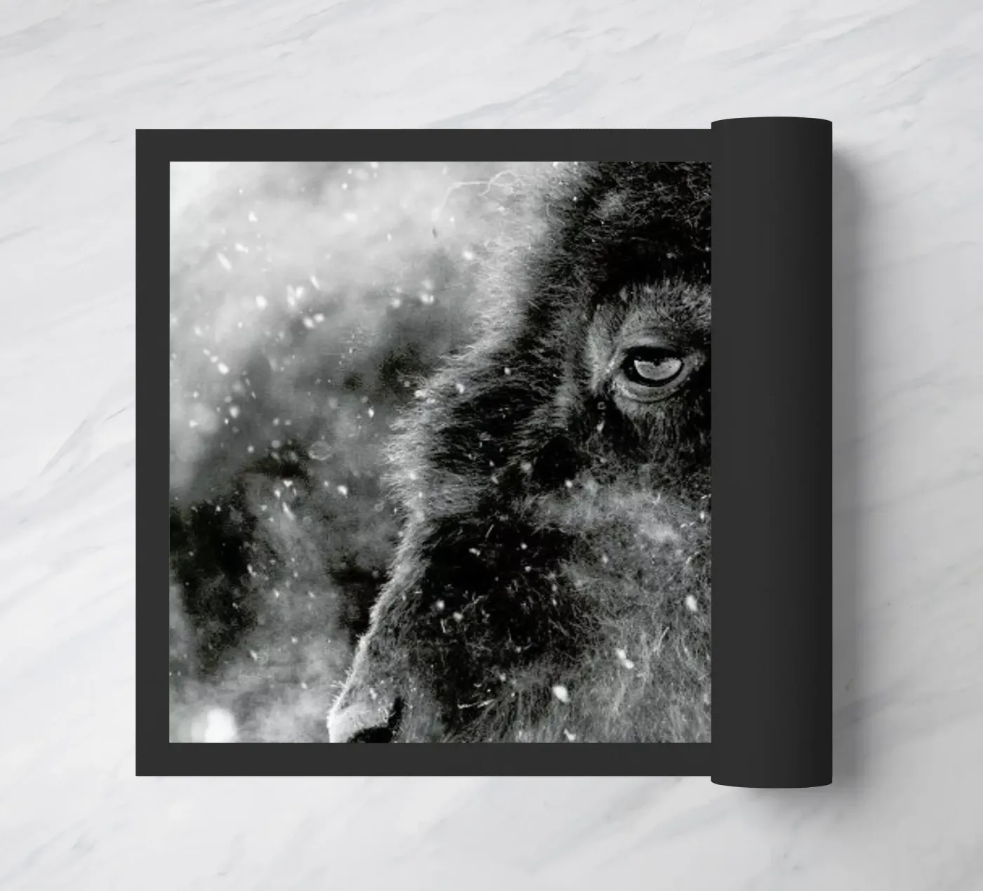 Winter Bison zerbino da Natural Kingdom