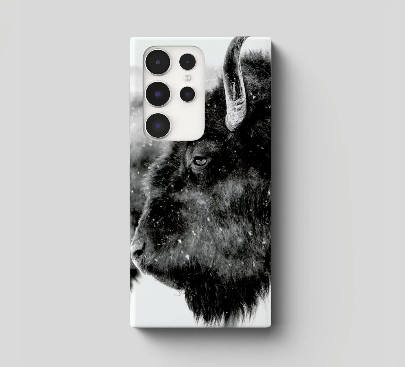 Winter Bison cover samsung da Natural Kingdom