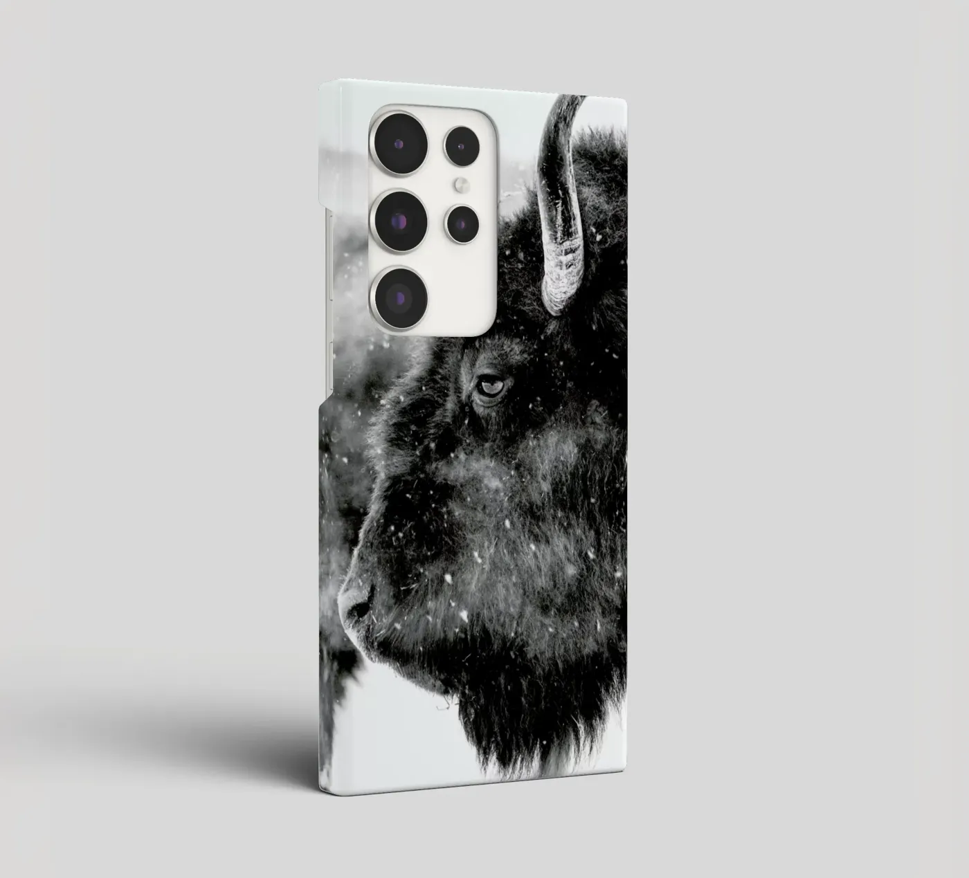 Winter Bison cover samsung da Natural Kingdom
