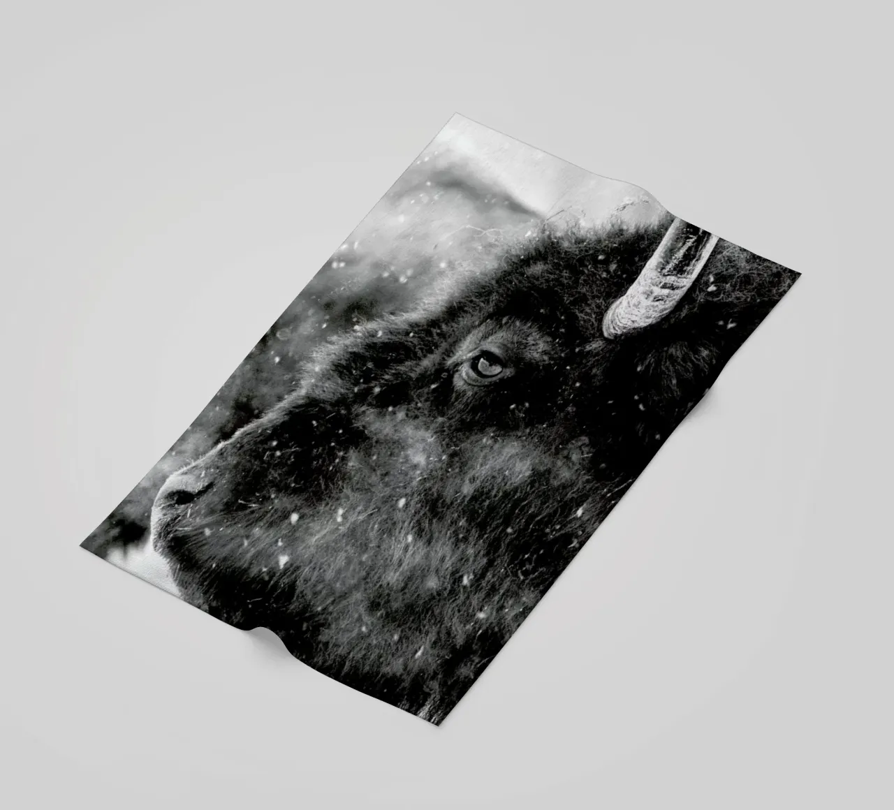 Winter Bison telo mare da Natural Kingdom