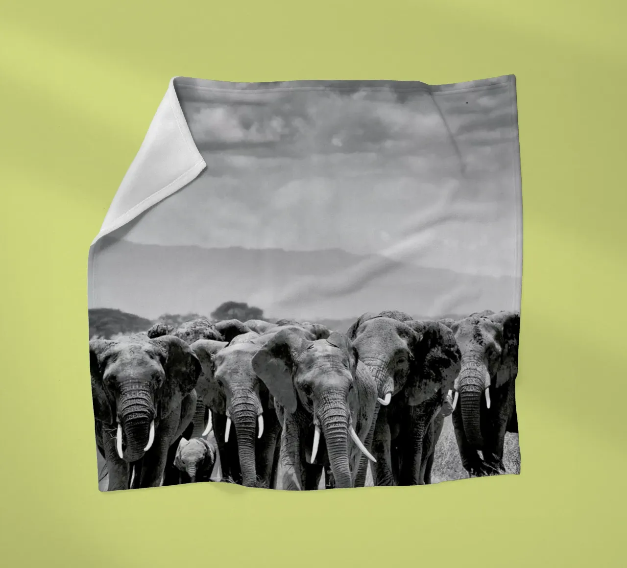 Herd Together fleece blanket by Natural Kingdom
