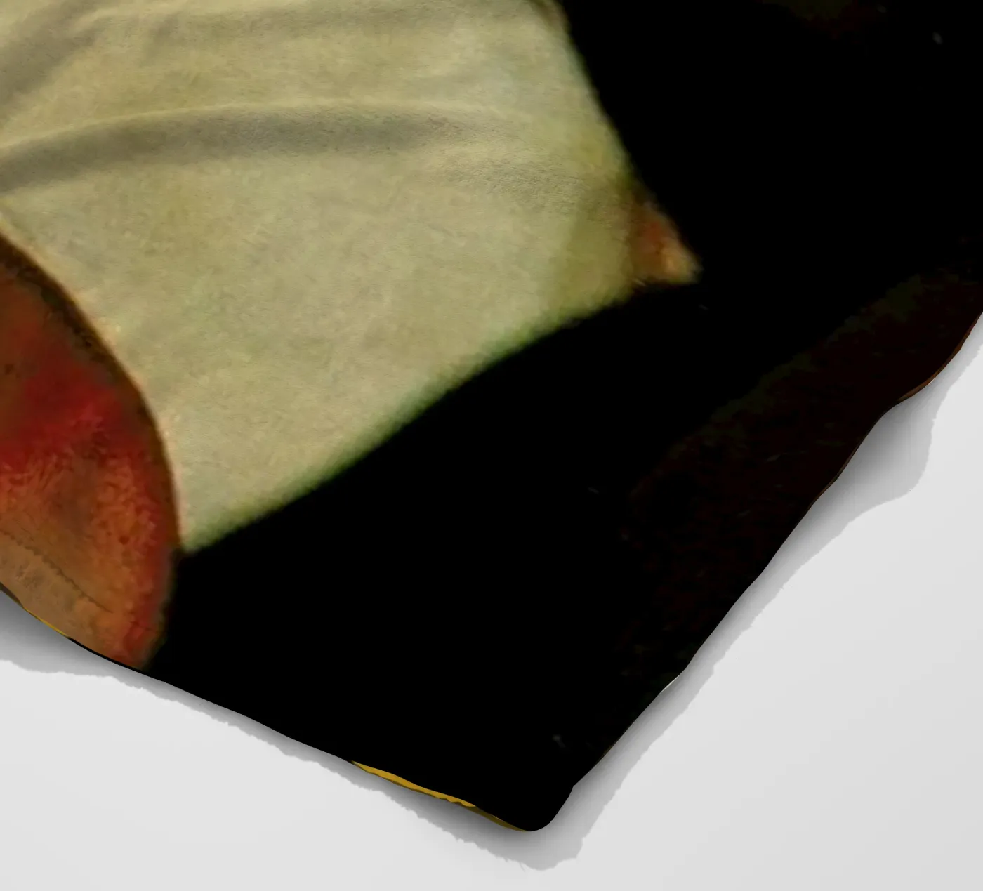 Sisters fleece blanket by Jesse Treece