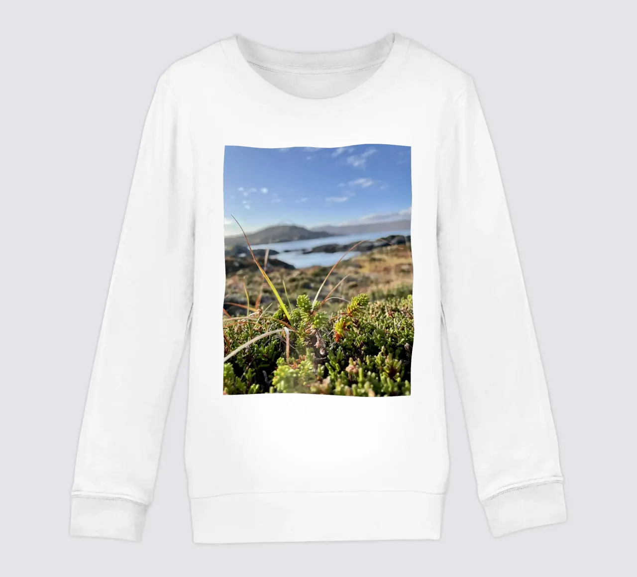 Scottish Sea kids sweatshirt by Sophies