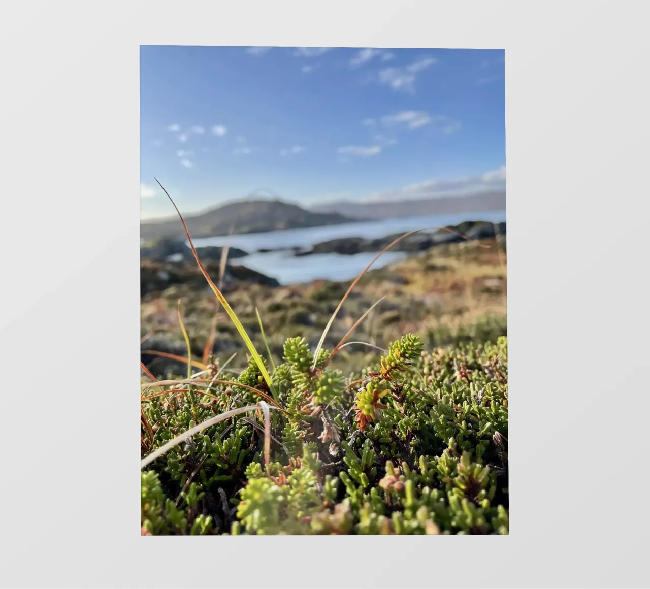 Scottish Sea backlit film by Sophies