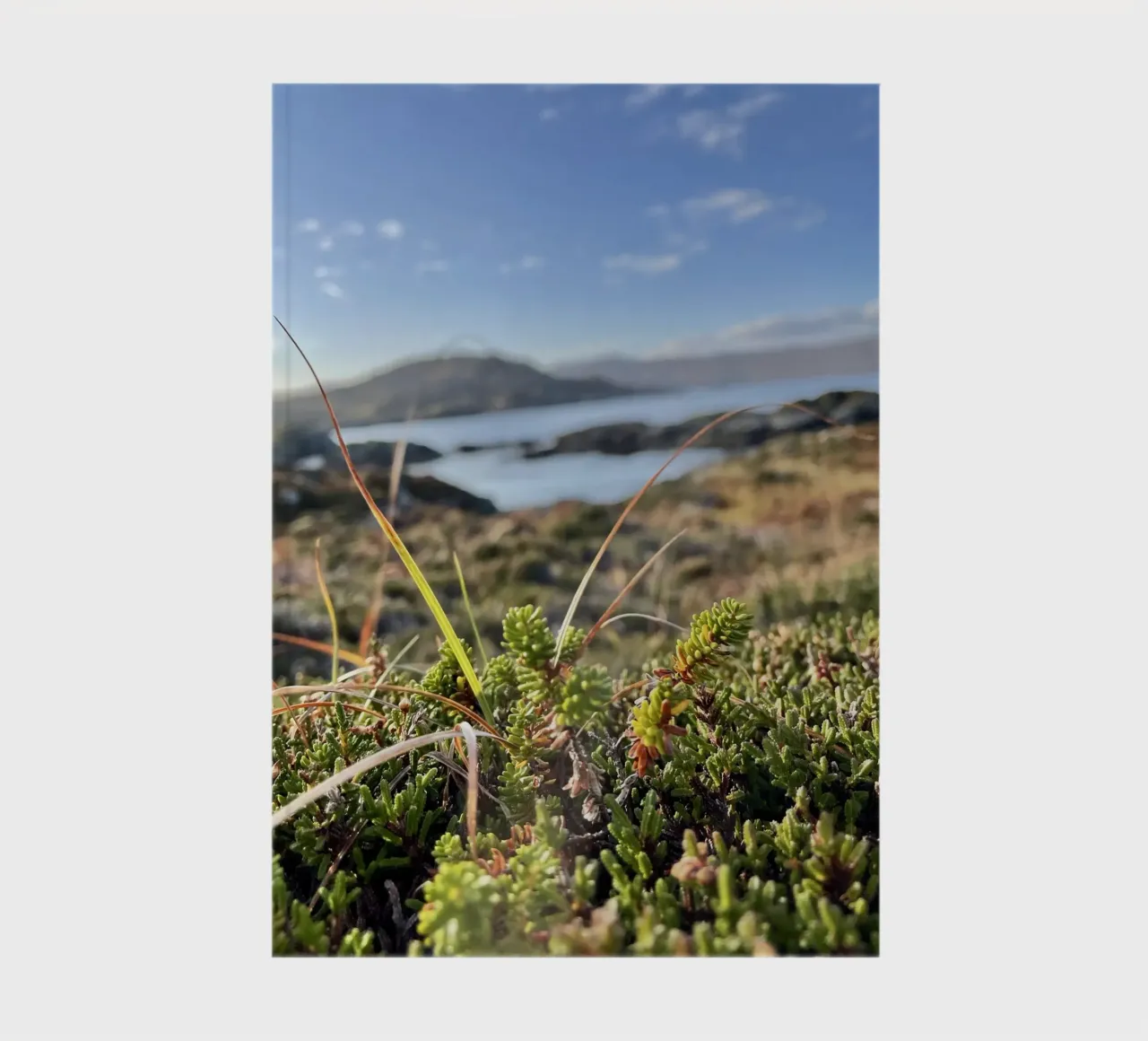 Scottish Sea notebook by Sophies