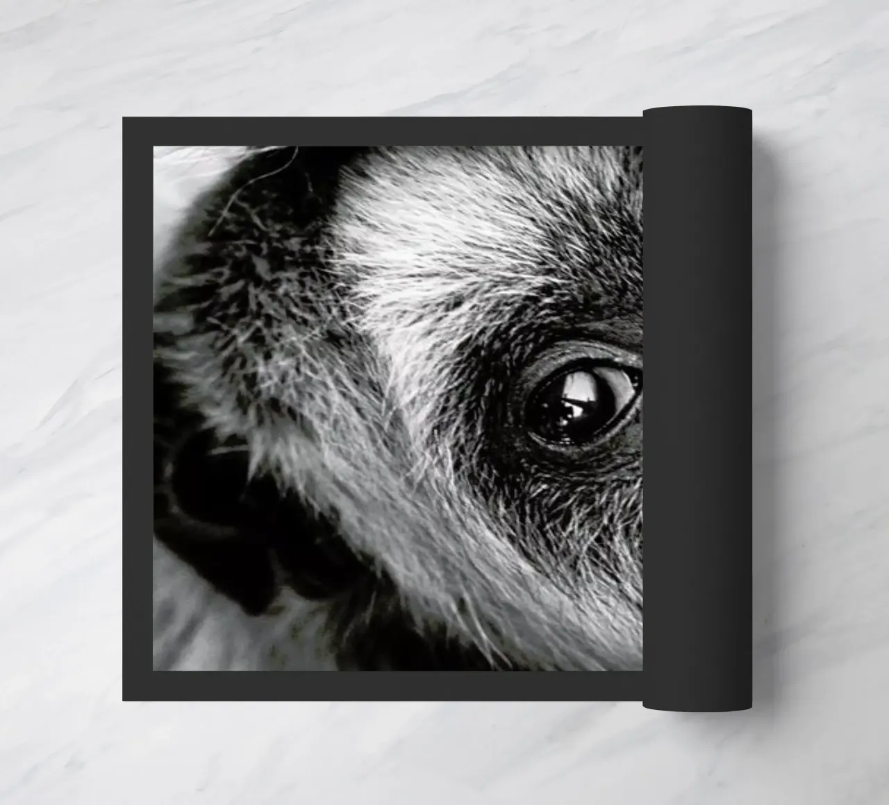 Youngling zerbino da Natural Kingdom