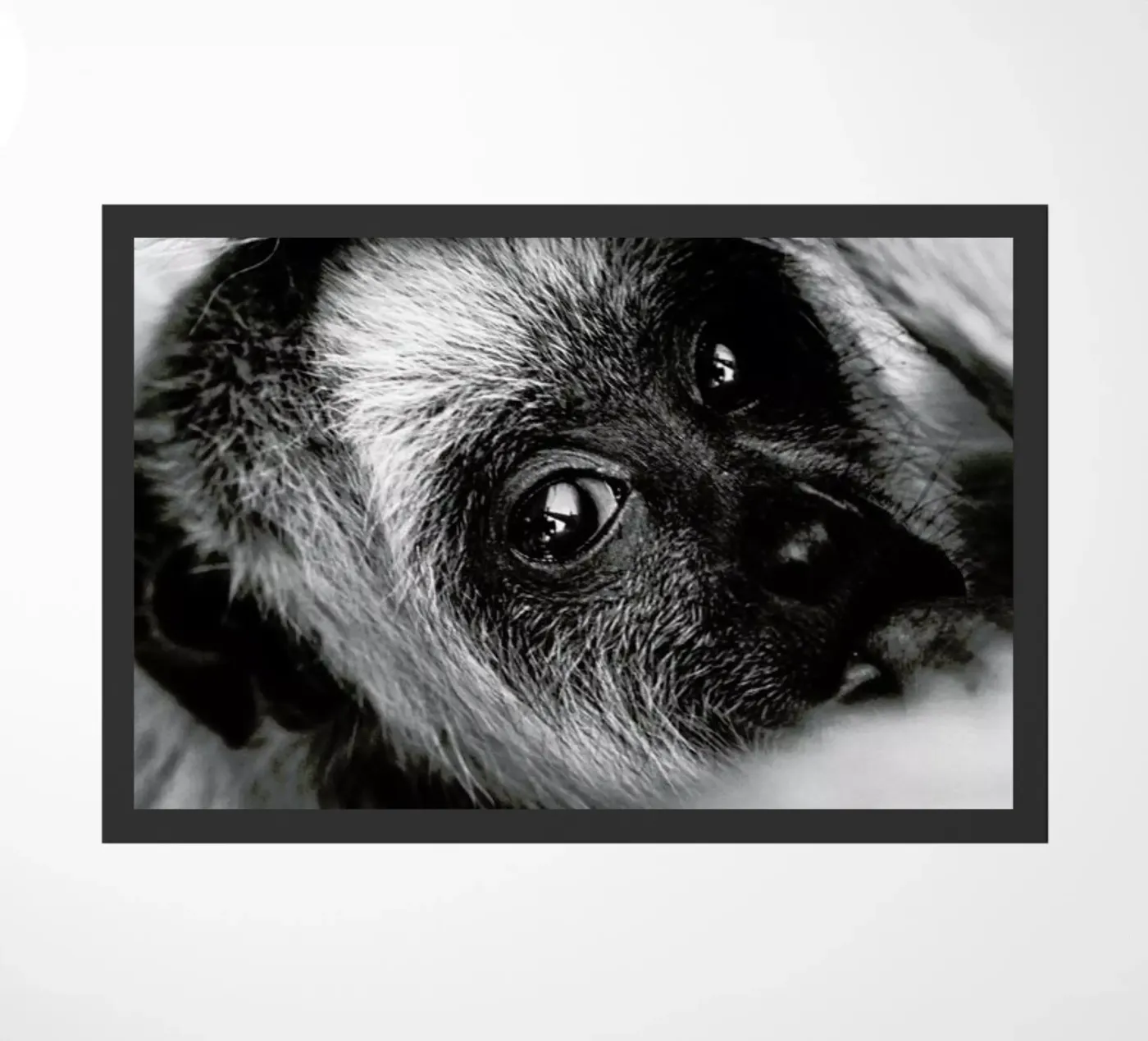 Youngling deurmat van Natural Kingdom