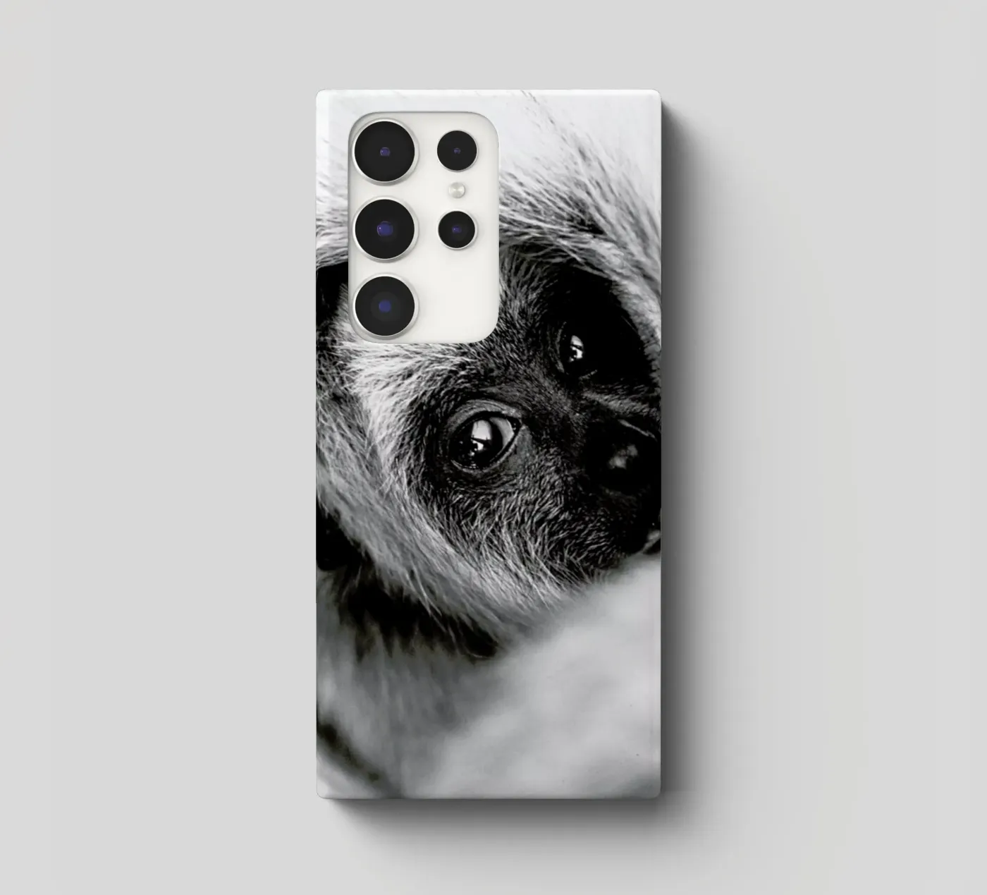 Youngling cover samsung da Natural Kingdom