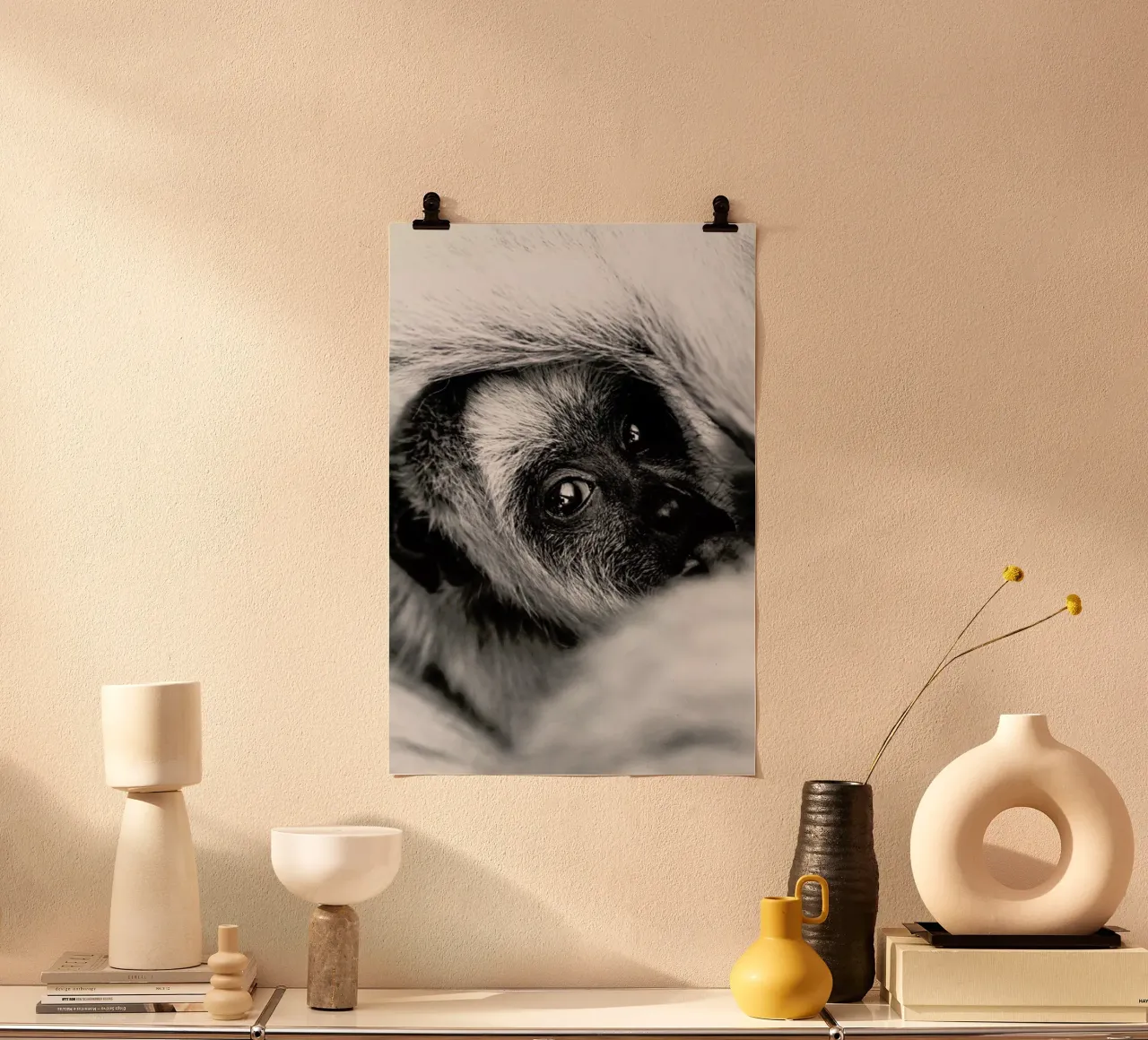 Youngling poster da Natural Kingdom