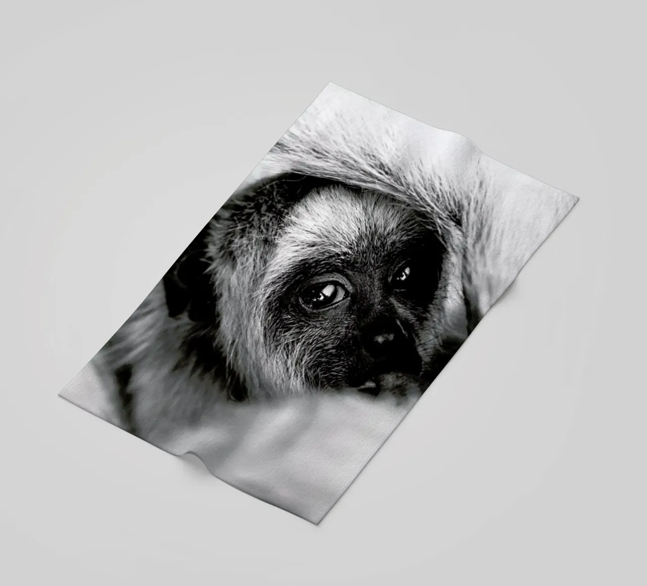 Youngling telo mare da Natural Kingdom