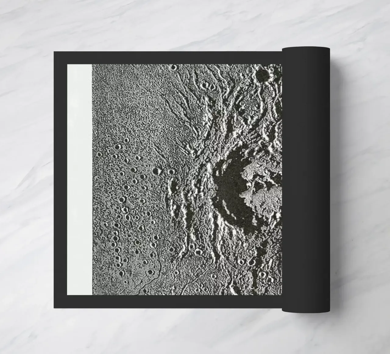 Moon Crater zerbino da Flora & Fauna