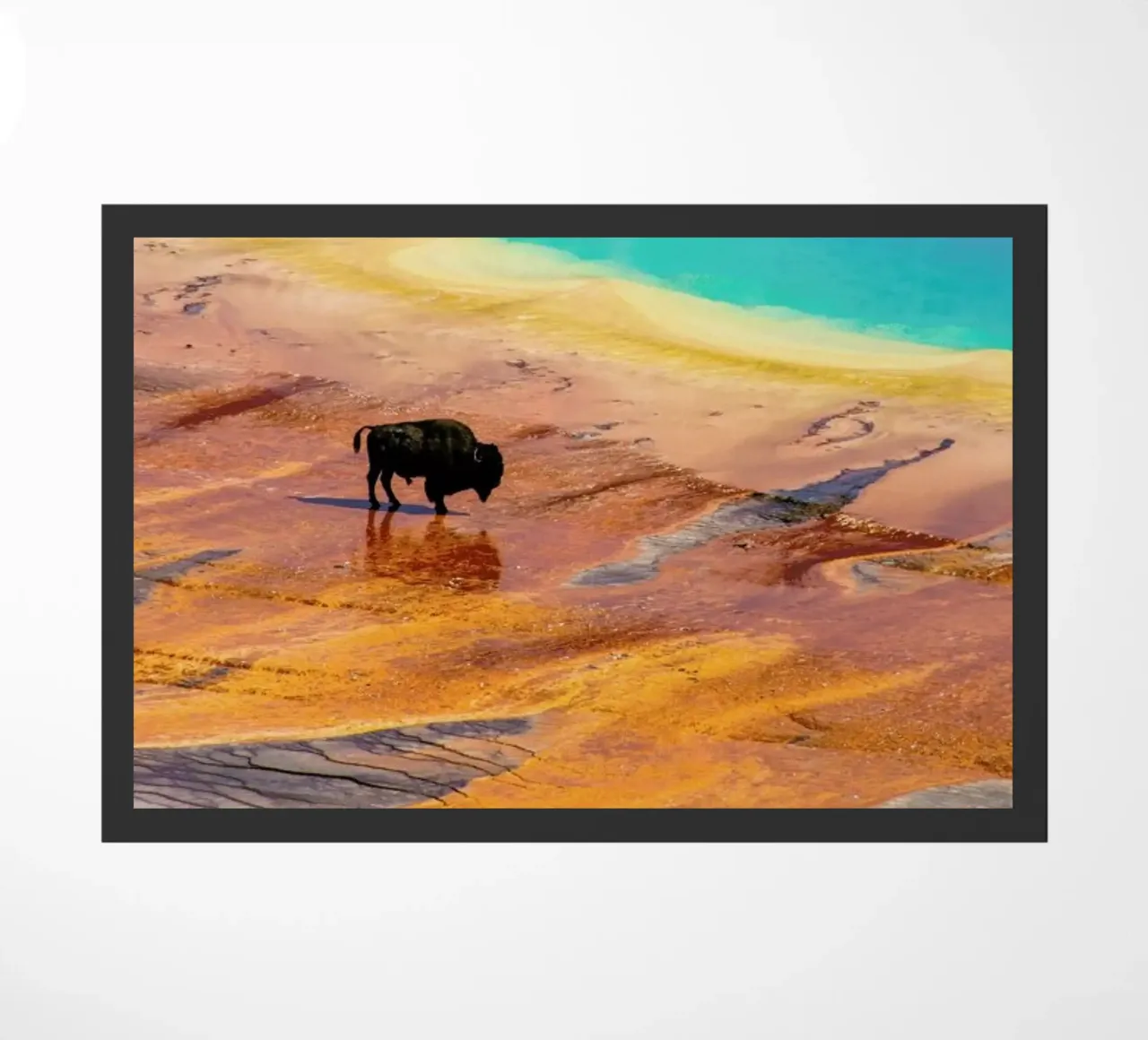 A Long Way From Home zerbino da Natural Kingdom