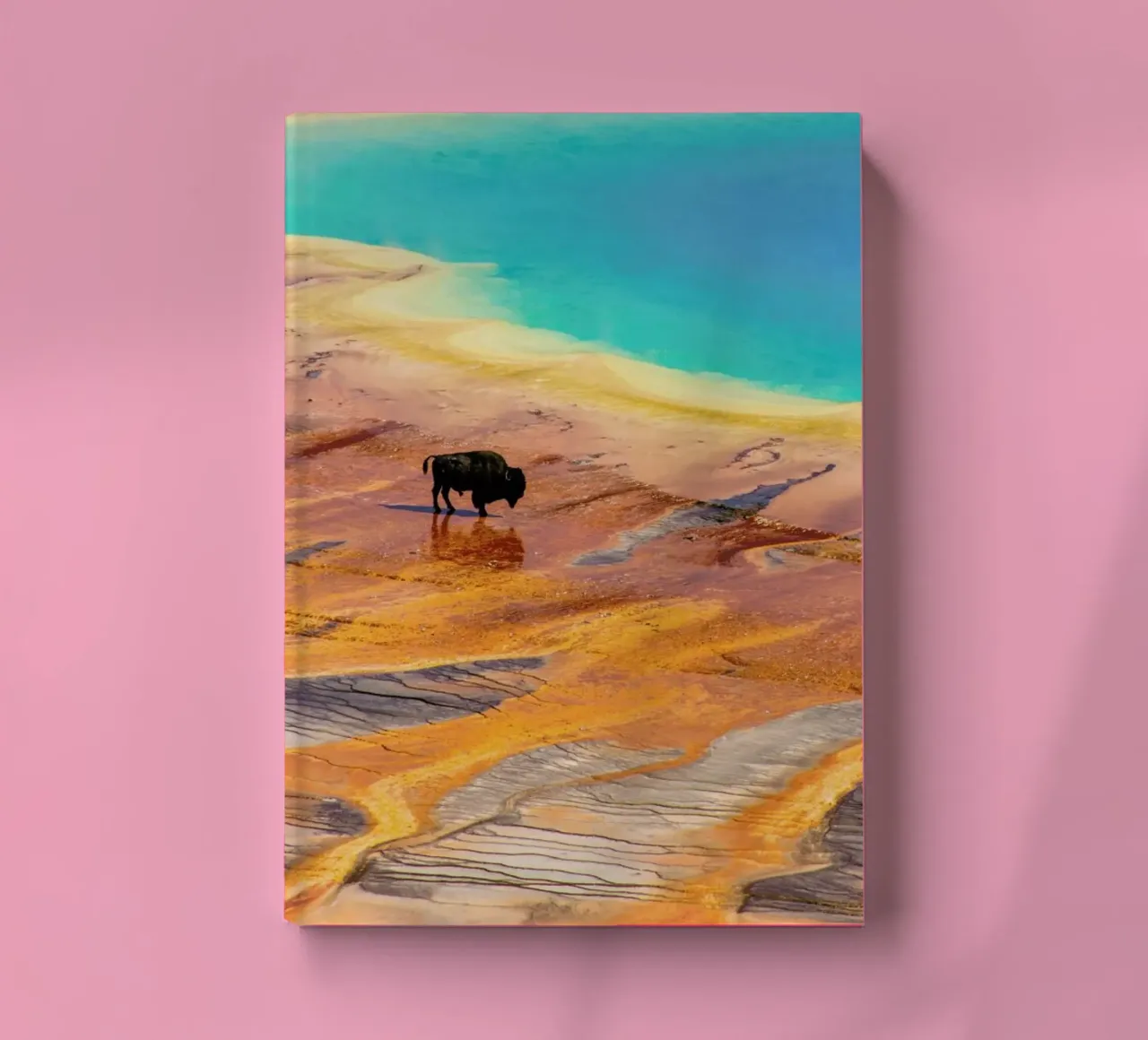 A Long Way From Home notebook by Natural Kingdom