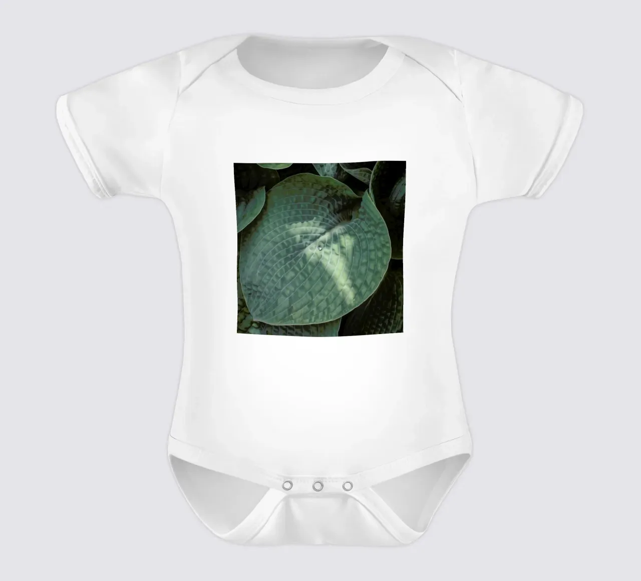 Loving The Leaves 8 body neonato maniche corte da Nur Mut
